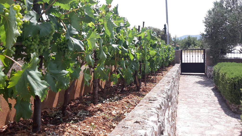 Amadrian Apartments Šibenik Esterno foto