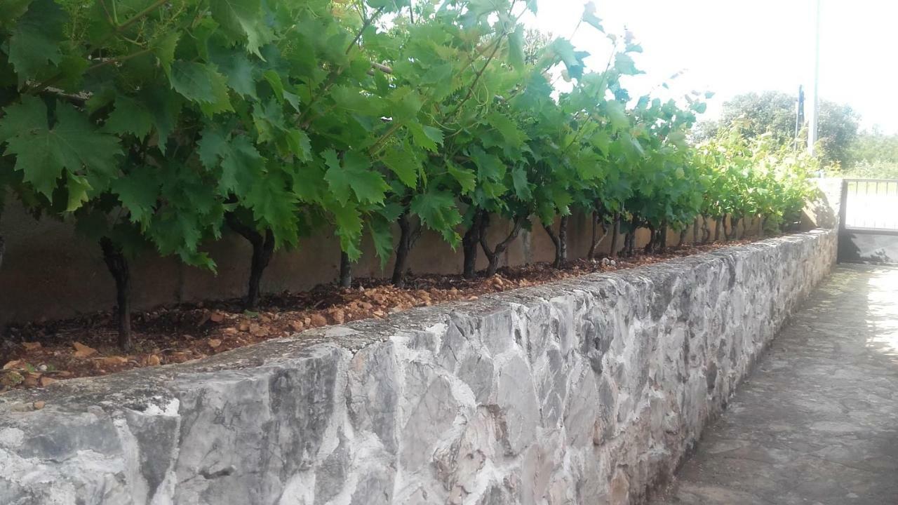 Amadrian Apartments Šibenik Esterno foto
